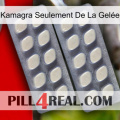 Kamagra Seulement De La Gelée 07